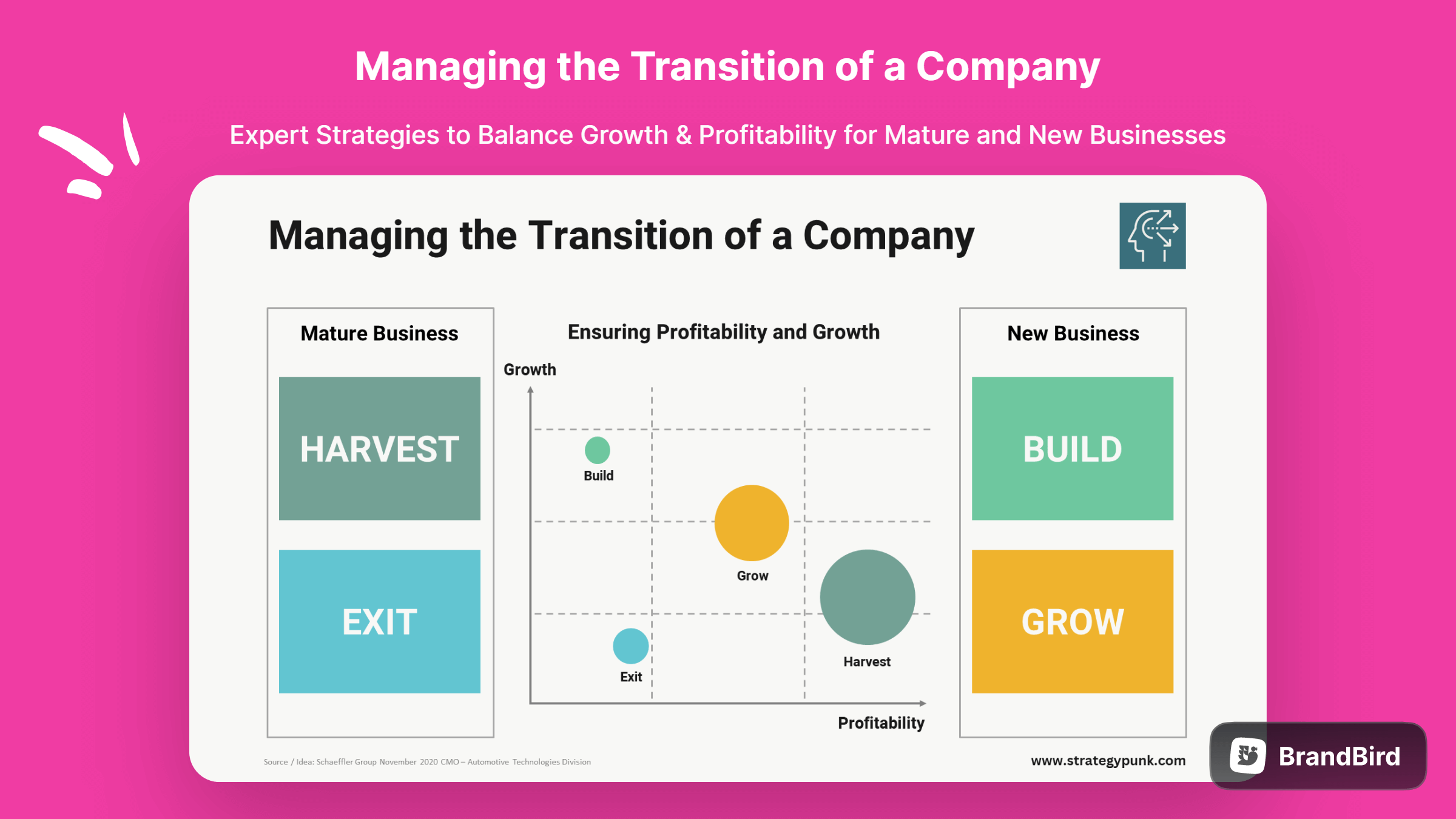 Managing Business Transition: Expert Strategies to Balance Growth & Profitability for Mature and New Businesses