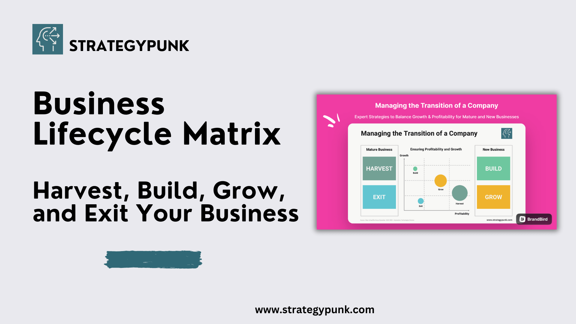 The Business Lifecycle Matrix: A Guide to Harvest, Build, Grow, and Exit Your Business
